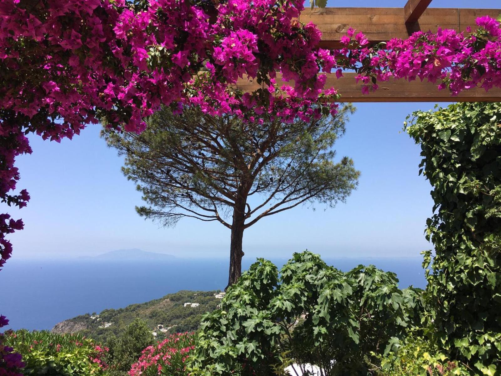 Hotel Casa Blu à Anacapri  Extérieur photo